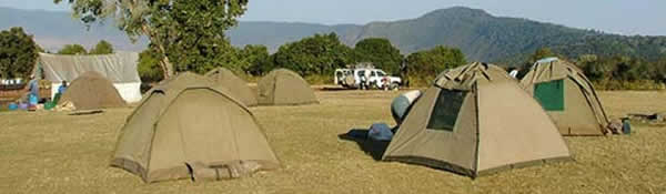 Manyara, Ngorongoro, Serengeti, Tarangire, Northern Tanzania Camping Tour