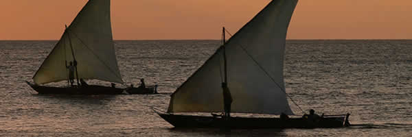 Fishing Dhows at Zanzibar
