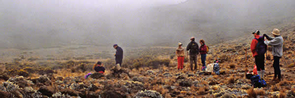 Trekking Mount Kilimajaro Montane Zone