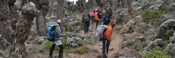 Trekking Mount Kilimanjaro